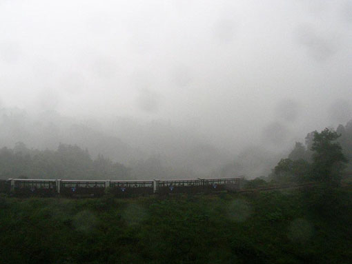 Hou Yimin's Images